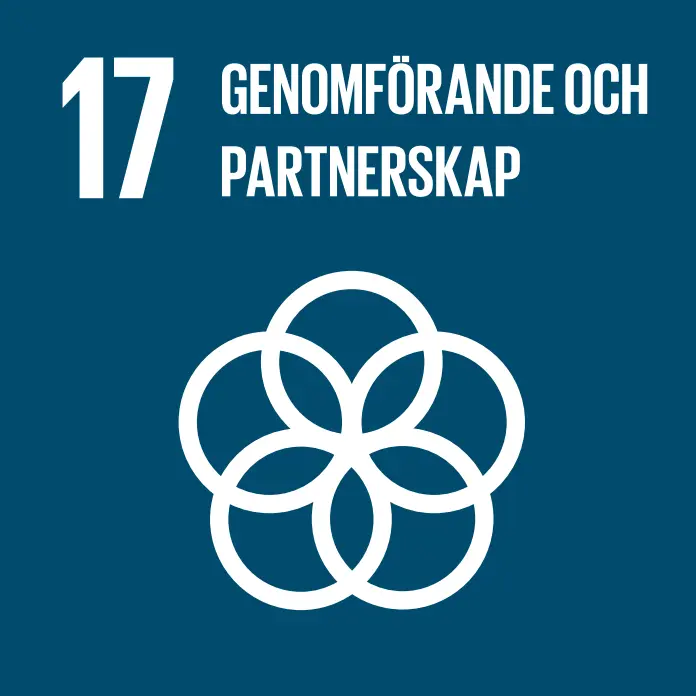 Genomförande och partnerskap