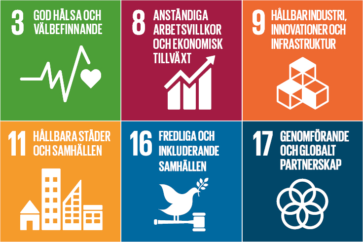 Sex utvalda globala mål